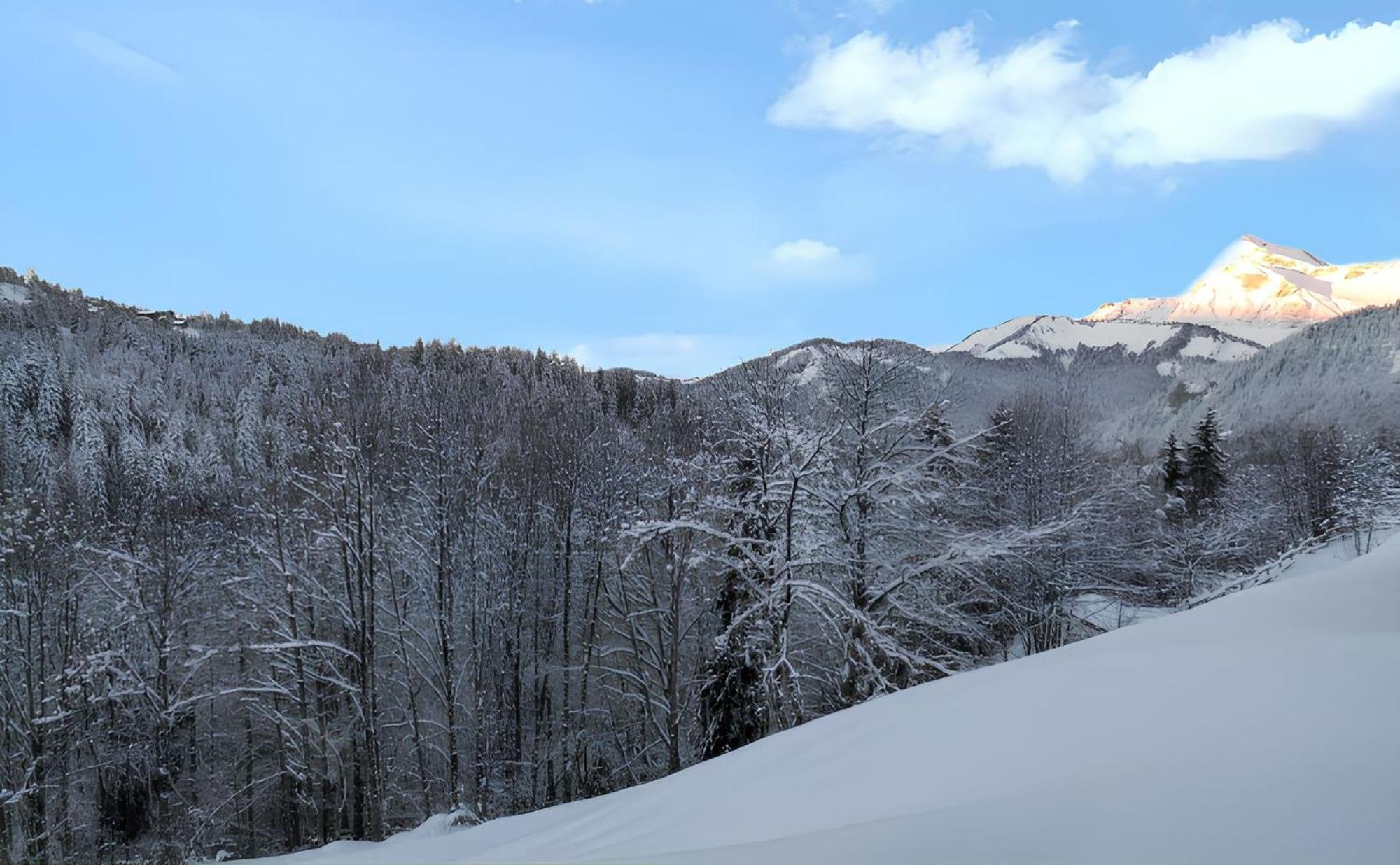 Appartement Confortable Avec Vue Sur La Montagne Notre-Dame-de-Bellecombe Exterior foto